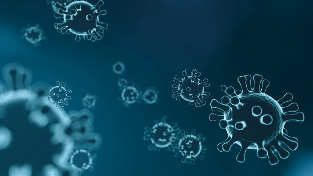 Corona-Virus Information und Prävention, Expertise der GRG Gebäudereinigung Berlin