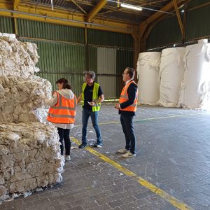 Mitarbeitende der GRG lassen sich das ReNew™-Programm von Kimberly Clark erklären.